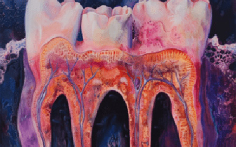 Watercolor painting esque image of the molars and roots with the purple gums/backdrop