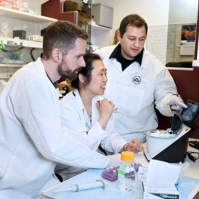 researchers collaborating in the lab